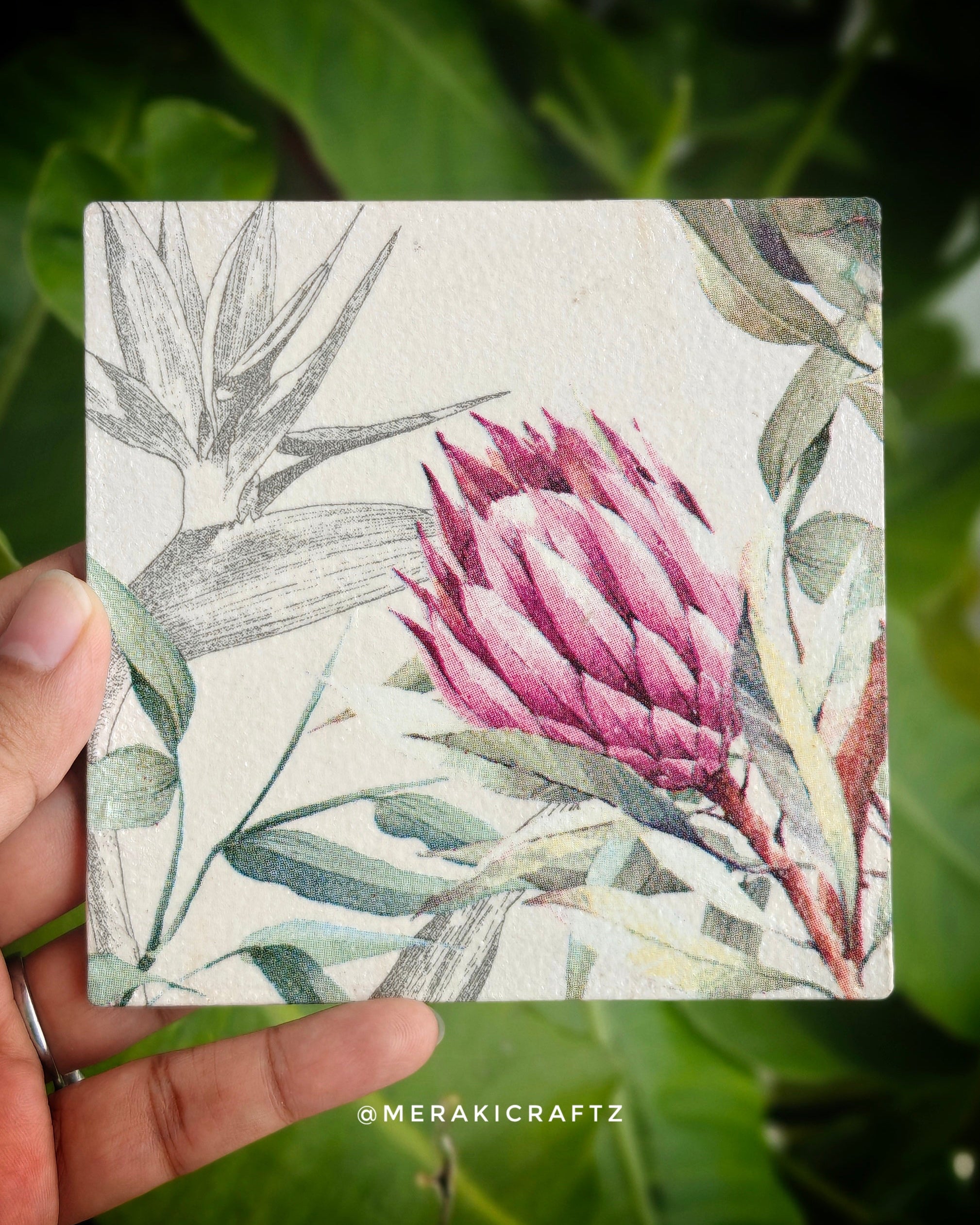 Handcrafted Botanical Decoupage Coasters - Protea